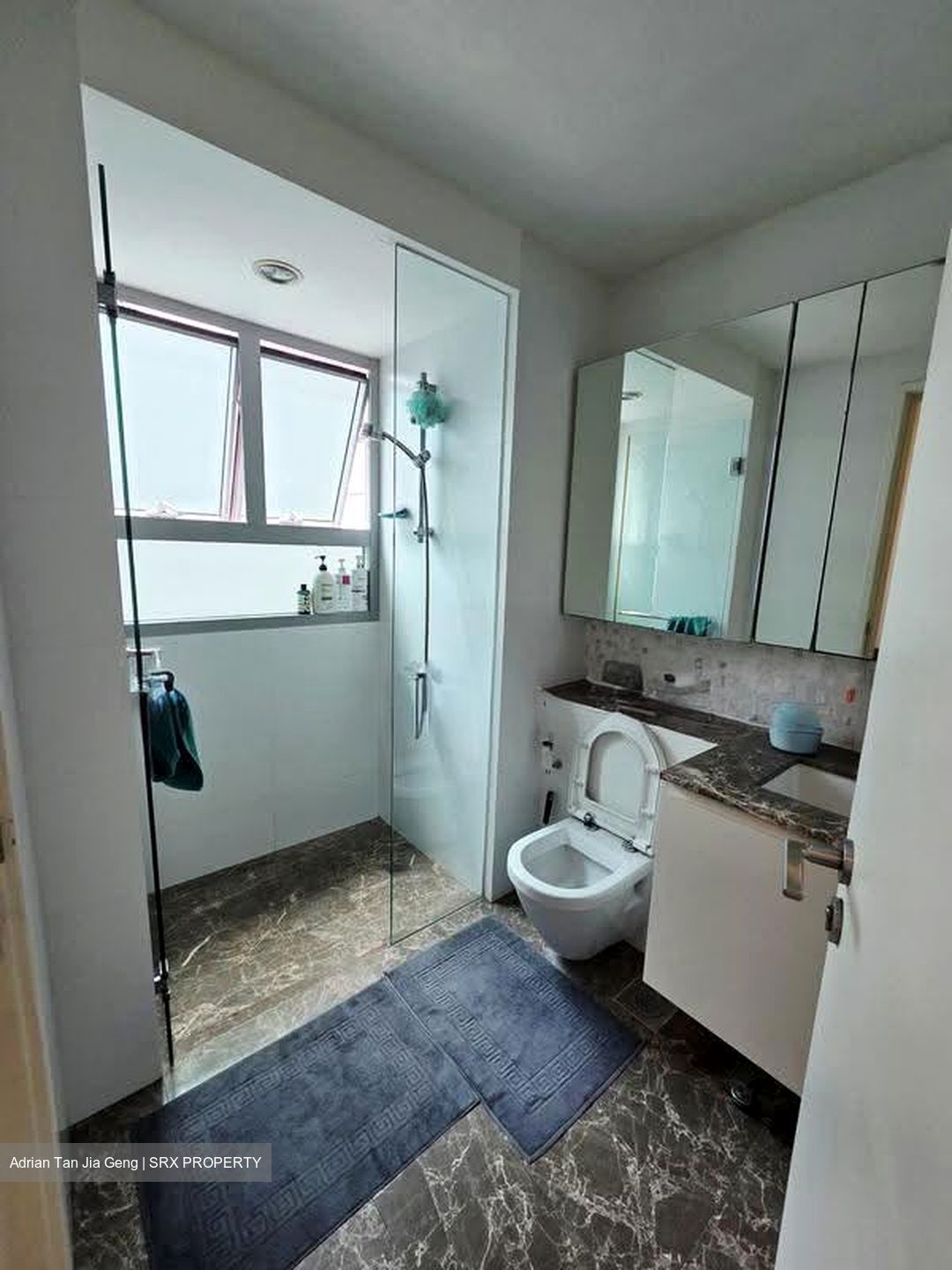 The Minton (D19), Condominium #614151201